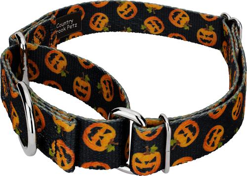 Show full view: Country Brook Petz Happy Jack Martingale Dog Collar, Black, Medium slide 4 of 6