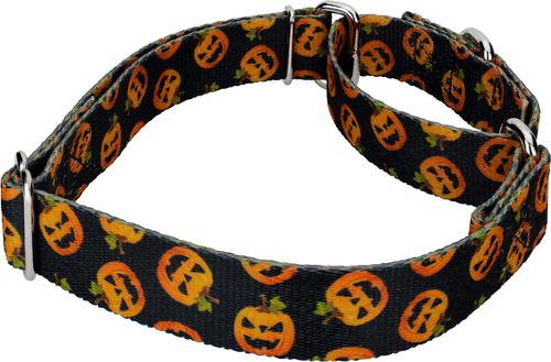 Show full view: Country Brook Petz Happy Jack Martingale Dog Collar, Black, Medium slide 5 of 6