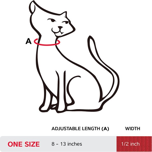 Show full view: Red Dingo Squiggles Design Nylon Breakaway Cat Collar, Black, X-Small: 8 to 13-in neck, 1/2-in wide slide 5 of 5