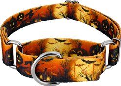 Country Brook Petz Midnight Fright Gunmetal Martingale Dog Collar, Orange, XX-Small