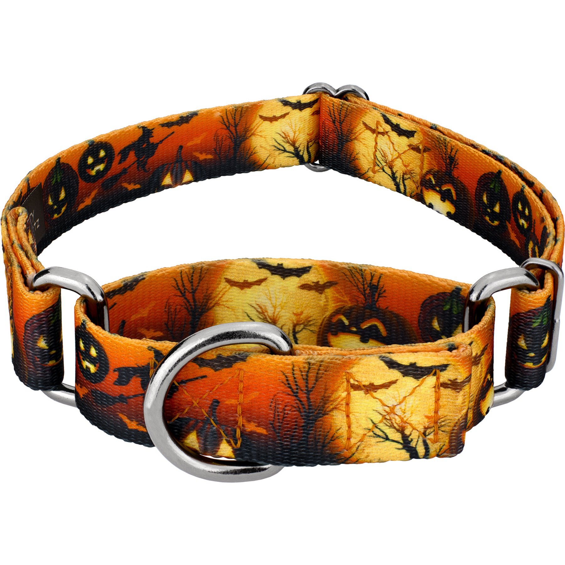 Country Brook Petz Midnight Fright Gunmetal Martingale Dog Collar, Orange, XX-Small