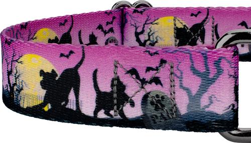 Show full view: Country Brook Petz Graveyard Gunmetal Martingale Dog Collar, Purple, Small slide 6 of 6