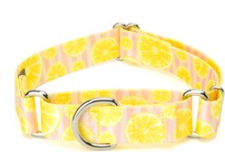 Country Brook Petz Pink Lemonade Martingale Dog Collar, Yellow, Small