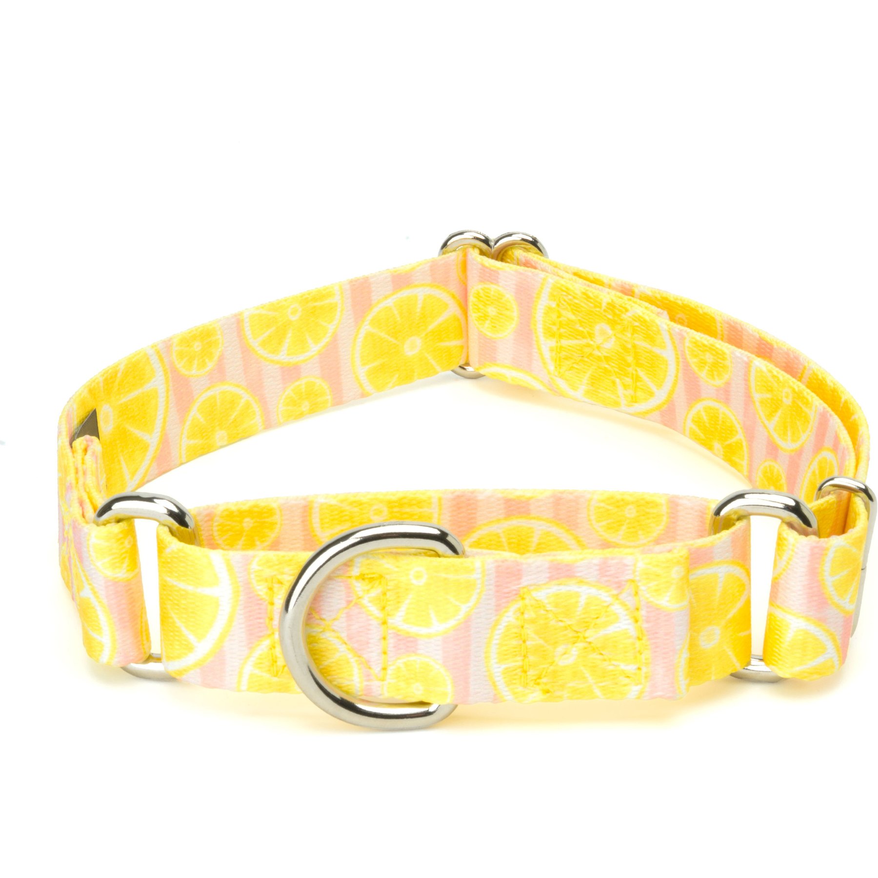Country Brook Petz Pink Lemonade Martingale Dog Collar, Yellow, Large