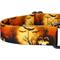 Show in main carousel: Country Brook Petz Midnight Fright Gunmetal Martingale Dog Collar, Orange, Large slide 5 of 5