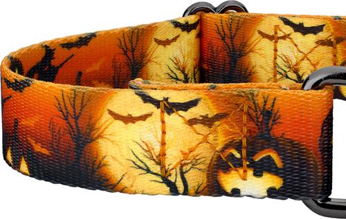 Show full view: Country Brook Petz Midnight Fright Gunmetal Martingale Dog Collar, Orange, Large slide 5 of 5