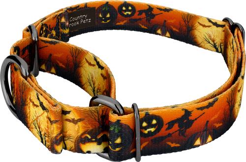 Show full view: Country Brook Petz Midnight Fright Gunmetal Martingale Dog Collar, Orange, Large slide 3 of 5