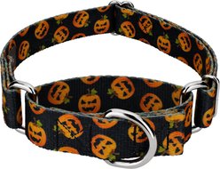 Country Brook Petz Happy Jack Martingale Dog Collar, Black, Small