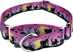 Country Brook Petz Graveyard Gunmetal Martingale Dog Collar, Purple, XX-Small