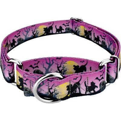 Country Brook Petz Country Brook Petz Graveyard Gunmetal Martingale Dog Collar, Purple, XX-Small