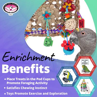 Show full view: Super Bird Creations Buffet Wall Bird Toy slide 4 of 7