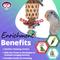 Show in main carousel: Super Bird Creations Bamboo Basket Stacker Bird Toy slide 4 of 7