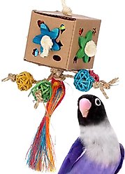 Super Bird Creations Crazy Cube Bird Toy