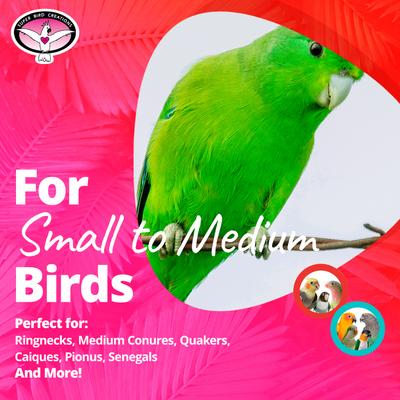 Show full view: Super Bird Creations Bamboo Playwall Bird Toy slide 3 of 7