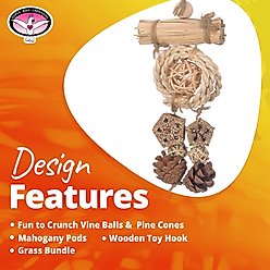 Super Bird Creations Dangler Delight Bird Toy slide 2 of 7