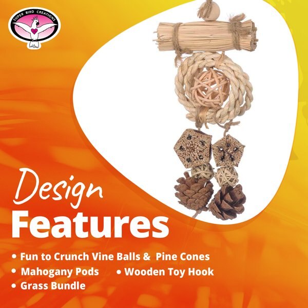 Super Bird Creations Dangler Delight Bird Toy