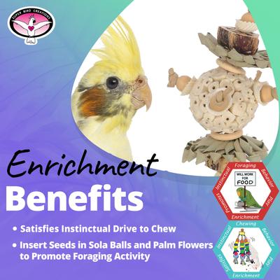 Show full view: Super Bird Creations Forest Bouquet Bird Toy slide 4 of 7