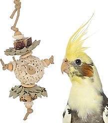 Super Bird Creations Forest Bouquet Bird Toy