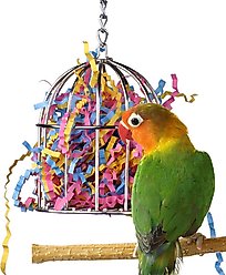 Super Bird Creations Mini Stainless Steel Treat Cage Bird Toy