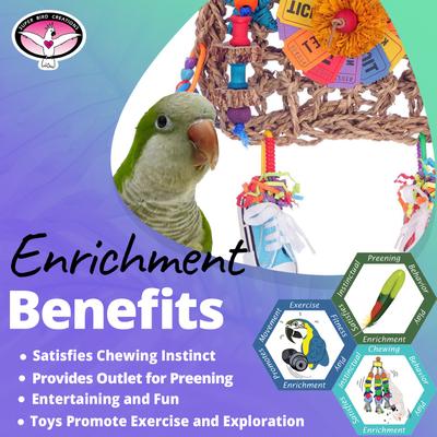 Show full view: Super Bird Creations Movie Night Bird Toy slide 4 of 7