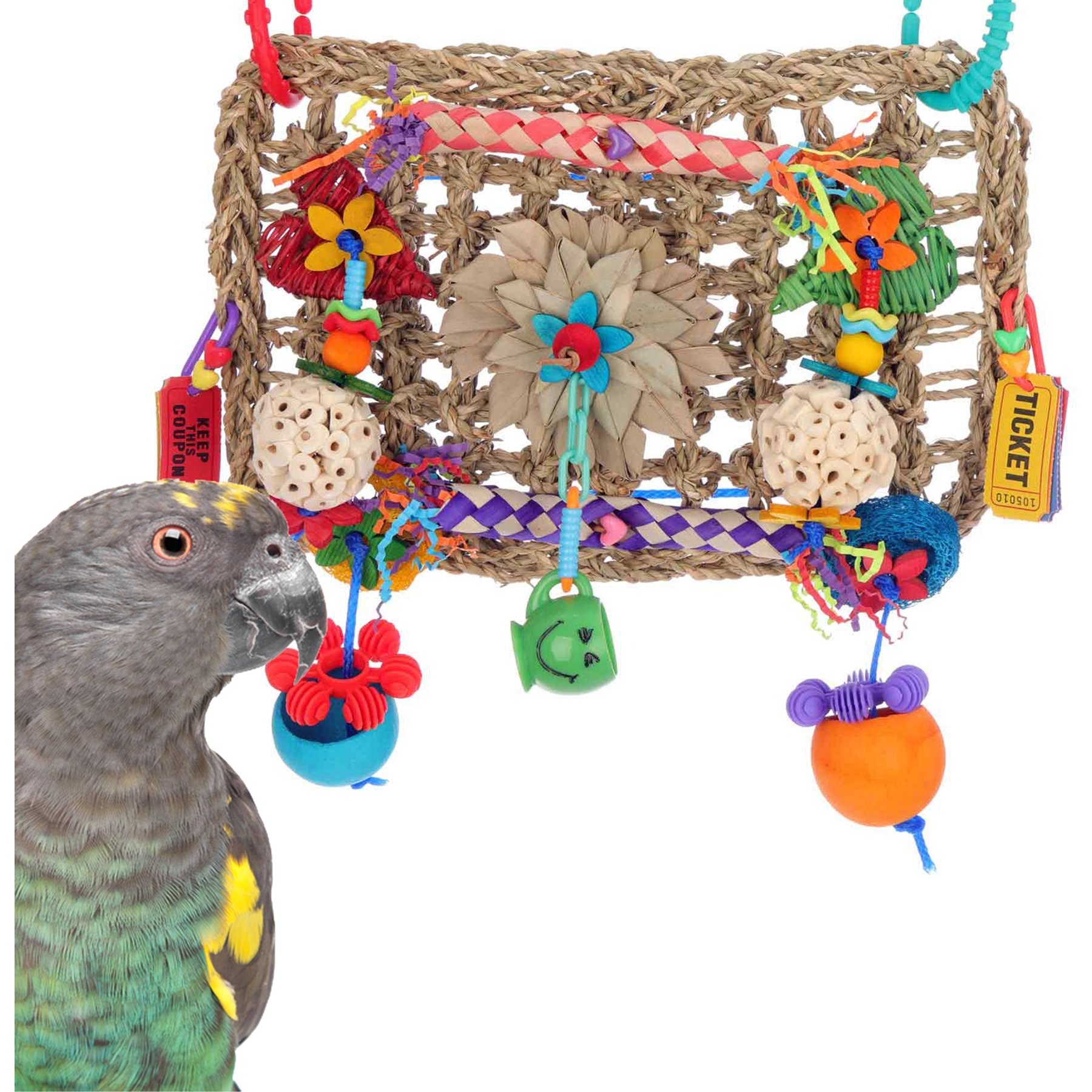 Super Bird Creations Buffet Wall Bird Toy