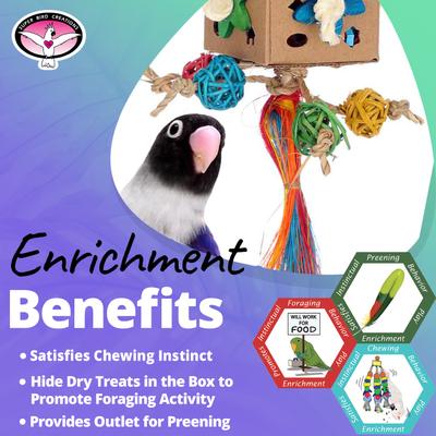 Show full view: Super Bird Creations Crazy Cube Bird Toy slide 4 of 7