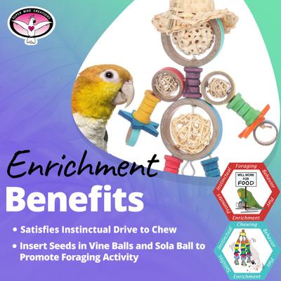 Show full view: Super Bird Creations Bagel Buddy Bird Toy slide 4 of 7