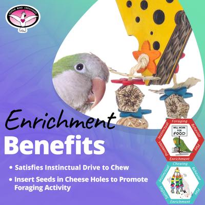 Show full view: Super Bird Creations Cheese Forager Bird Toy slide 4 of 7