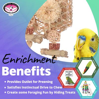 Show full view: Super Bird Creations Bamboo Playwall Bird Toy slide 4 of 7