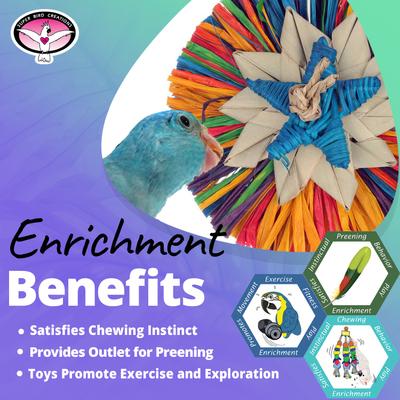 Show full view: Super Bird Creations Rainbow Raffia Sm Bird Toy slide 4 of 7