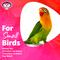 Show in main carousel: Super Bird Creations Bitty Bundle Bird Toy slide 3 of 7