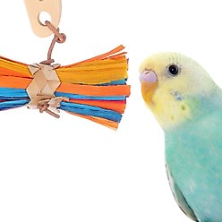 Super Bird Creations Bitty Bundle Bird Toy
