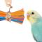 Show in main carousel: Super Bird Creations Bitty Bundle Bird Toy slide 1 of 7