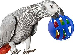 Super Bird Creations Waffle Rattle Bird Toy slide 1 of 7
