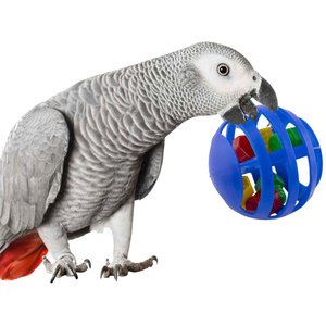 Super Bird Creations Waffle Rattle Bird Toy