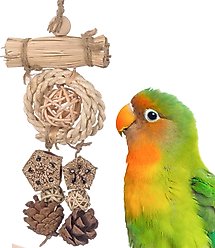 Super Bird Creations Dangler Delight Bird Toy