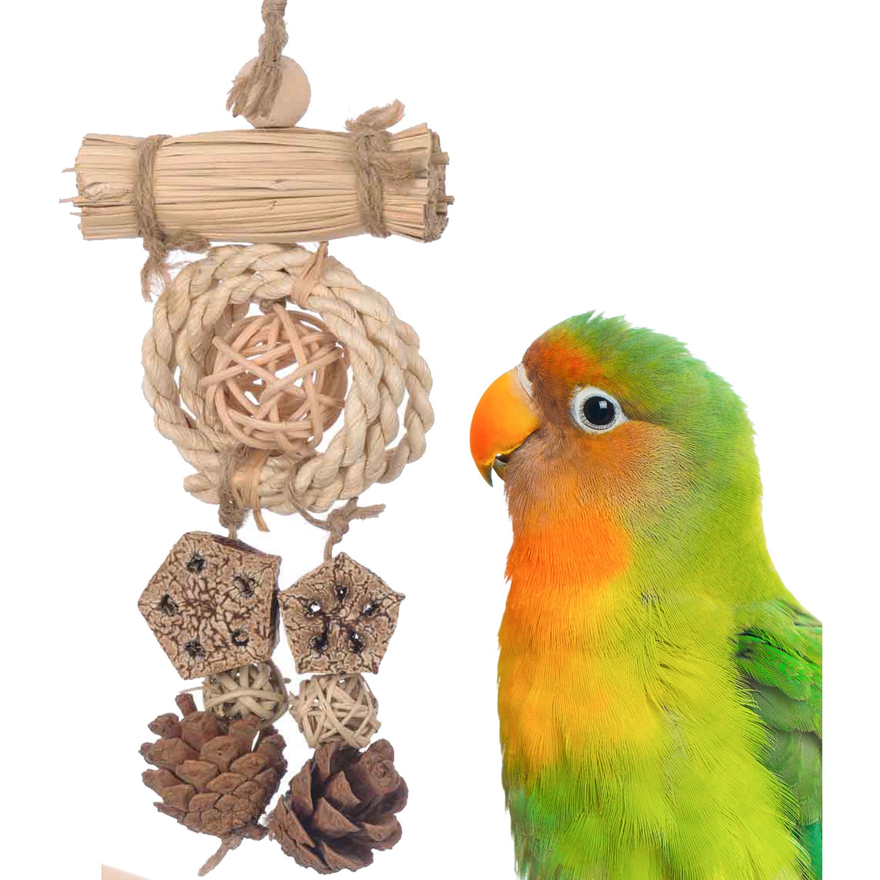 Super Bird Creations Dangler Delight Bird Toy