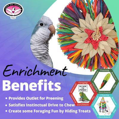 Show full view: Super Bird Creations Rainbow Raffia Bird Toy slide 4 of 7