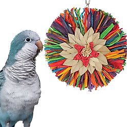 Super Bird Creations Rainbow Raffia Bird Toy