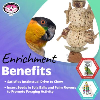 Show full view: Super Bird Creations Sola Star Tree Bird Toy slide 4 of 7