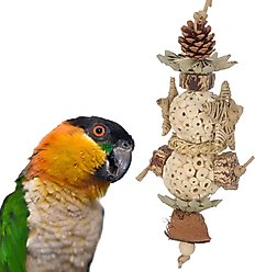 Super Bird Creations Sola Star Tree Bird Toy