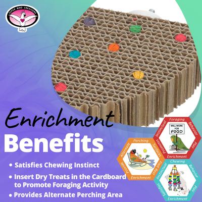 Show full view: Super Bird Creations Corner Treat Block Bird Toy slide 3 of 6