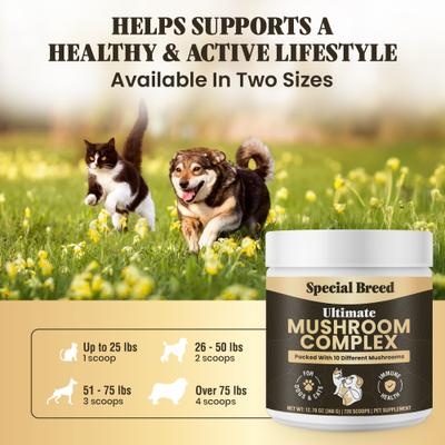 Show full view: Special Breed Ultimate Mushroom Complex Powder Immune Supplement for Dogs & Cats, 360-gm jar slide 7 of 8