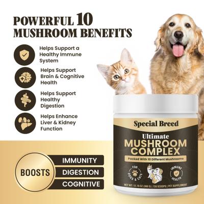Show full view: Special Breed Ultimate Mushroom Complex Powder Immune Supplement for Dogs & Cats, 360-gm jar slide 3 of 8