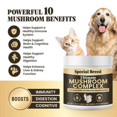 Show full view: Special Breed Ultimate Mushroom Complex Powder Immune Supplement for Dogs & Cats, 180-gm jar slide 3 of 8