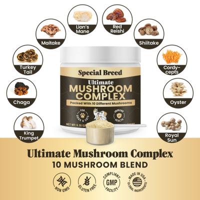 Show full view: Special Breed Ultimate Mushroom Complex Powder Immune Supplement for Dogs & Cats, 180-gm jar slide 4 of 8