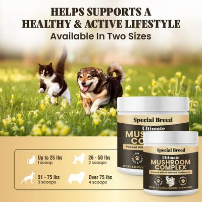 Show full view: Special Breed Ultimate Mushroom Complex Powder Immune Supplement for Dogs & Cats, 90-gm jar slide 7 of 8