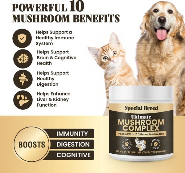 Special Breed Ultimate Mushroom Complex Powder Immune Supplement for Dogs & Cats