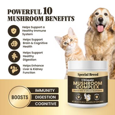 Show full view: Special Breed Ultimate Mushroom Complex Powder Immune Supplement for Dogs & Cats, 90-gm jar slide 3 of 8