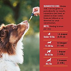 Special Breed Urinary Tract Cranberry Flavored Supplement for Dogs & Cats, 2-fl oz bottle slide 2 of 6